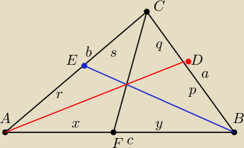 rysunek