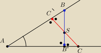 rysunek